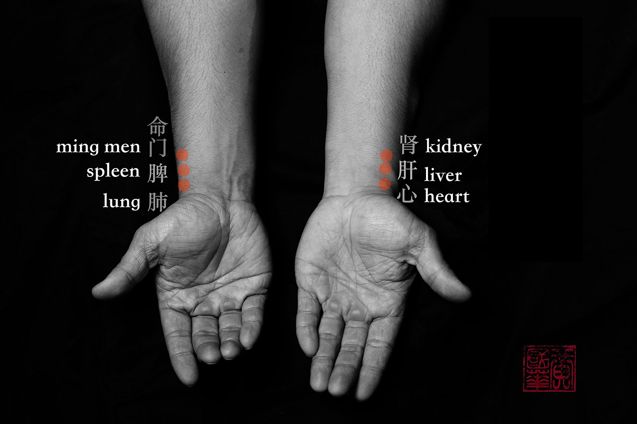 TCM pulse assessment — radial pulse diagnosis