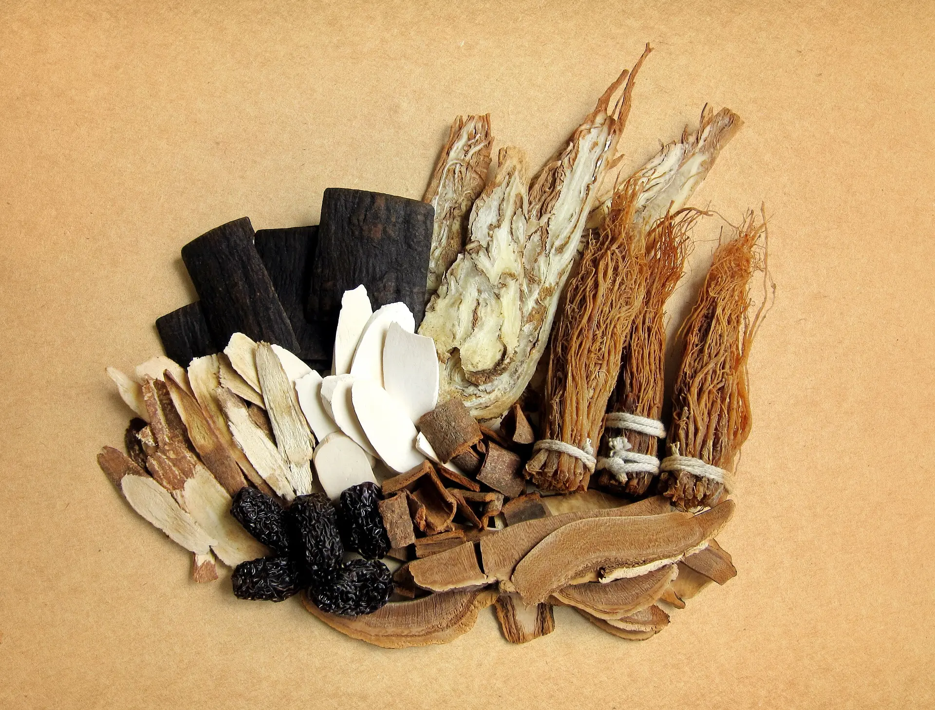 Chinese herbal medicine
